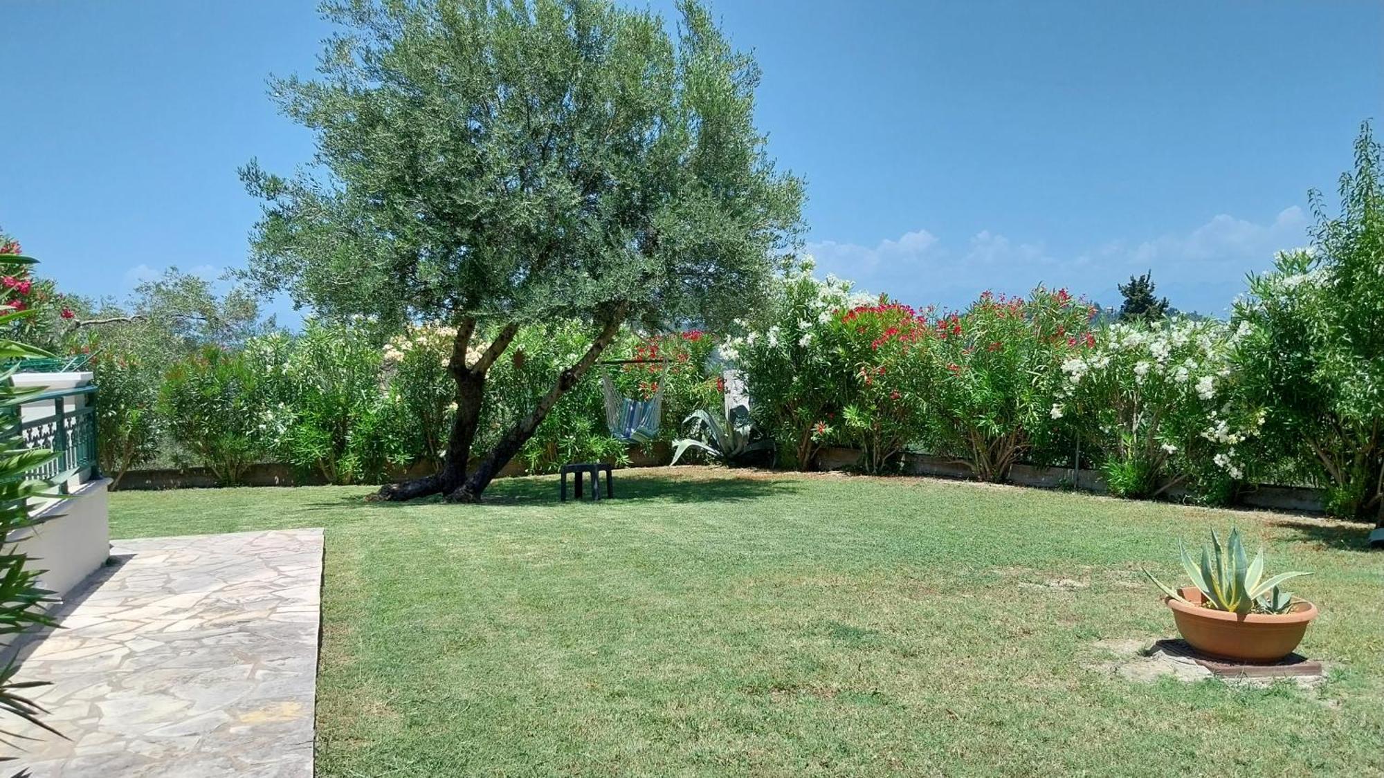 Kavvadades Villa Gecko, Arillas מראה חיצוני תמונה